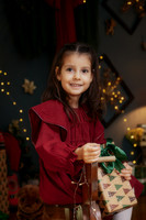 SLB_3029-