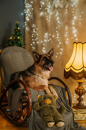 SLB_6372