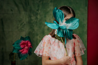 SLB_2077