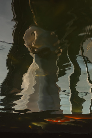 SLB_2971