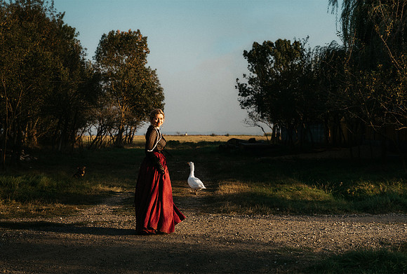 adina-web