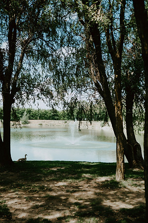 _SLB9011